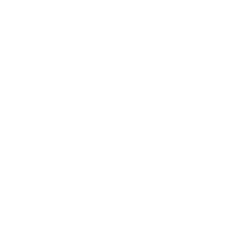 Boletas de apremio