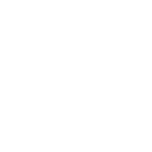 Resolución de Conflictos Laborales
