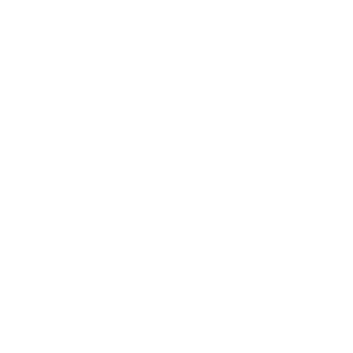 Seguridad y Riesgos Laborales