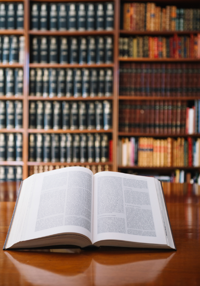 Derecho Constitucional Legal Roots